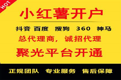 成功案例：网络推广与竞价广告的完美结合